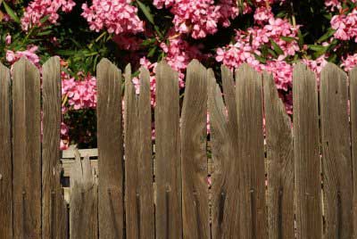 A broken wooden fence that needs professional repairing service in Palm Beach County, FL